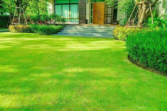 Pack travaux pelouse